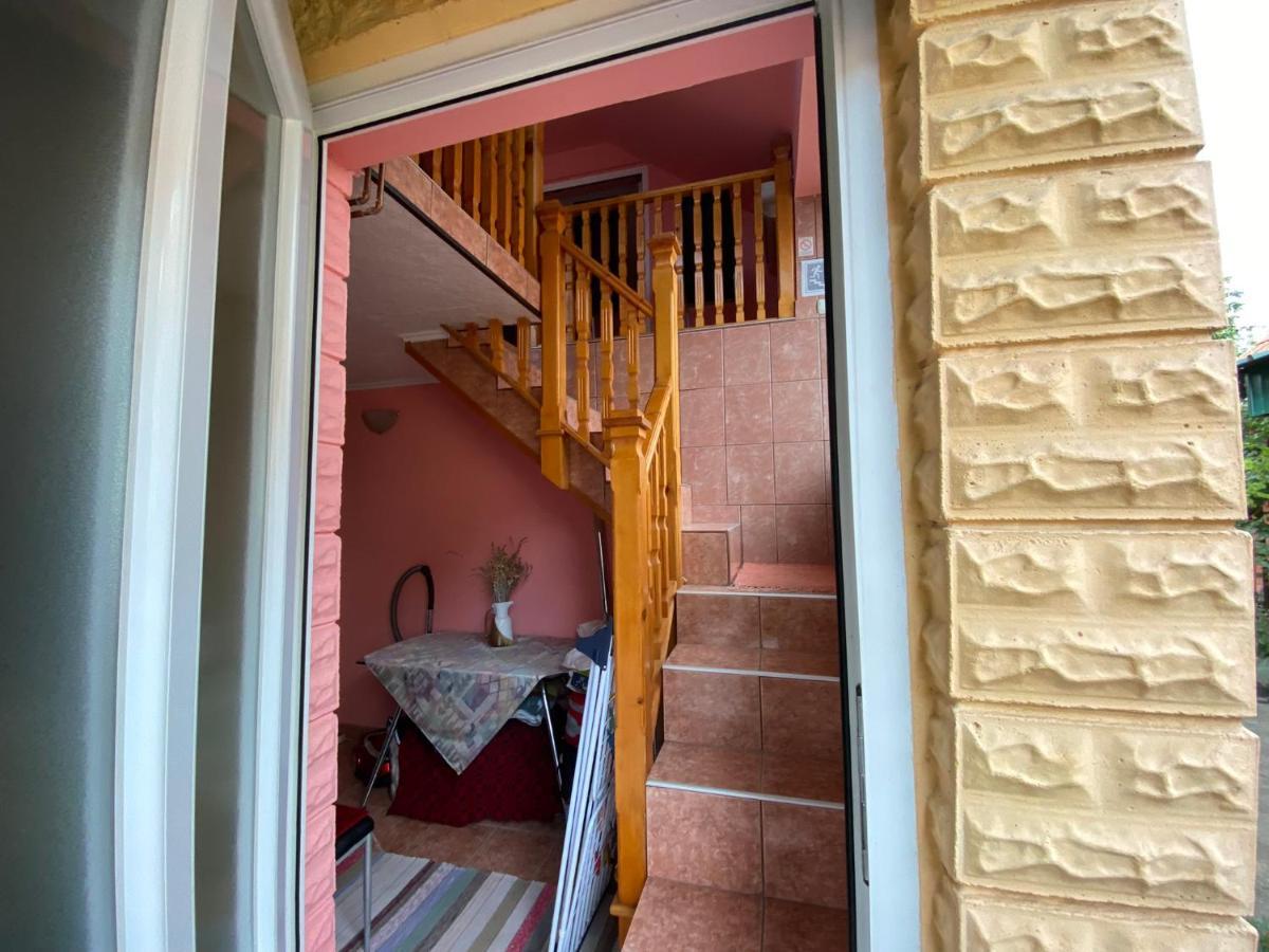 Sud ,,Antal I Olga,, Bed & Breakfast Skorenovac Dış mekan fotoğraf