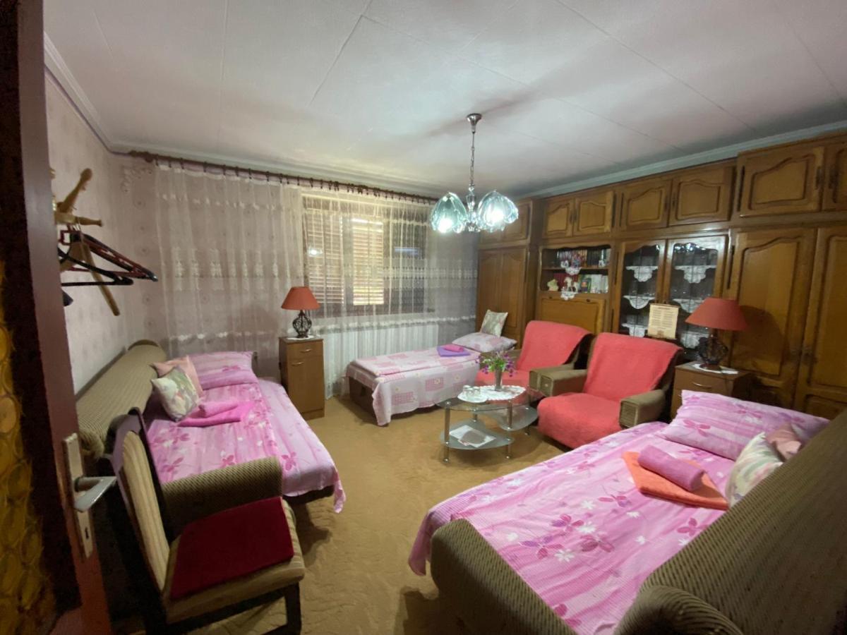 Sud ,,Antal I Olga,, Bed & Breakfast Skorenovac Dış mekan fotoğraf