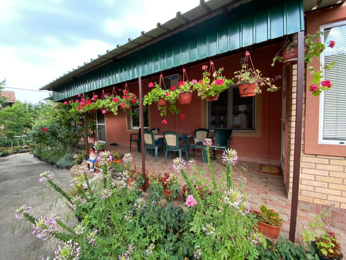 Sud ,,Antal I Olga,, Bed & Breakfast Skorenovac Dış mekan fotoğraf