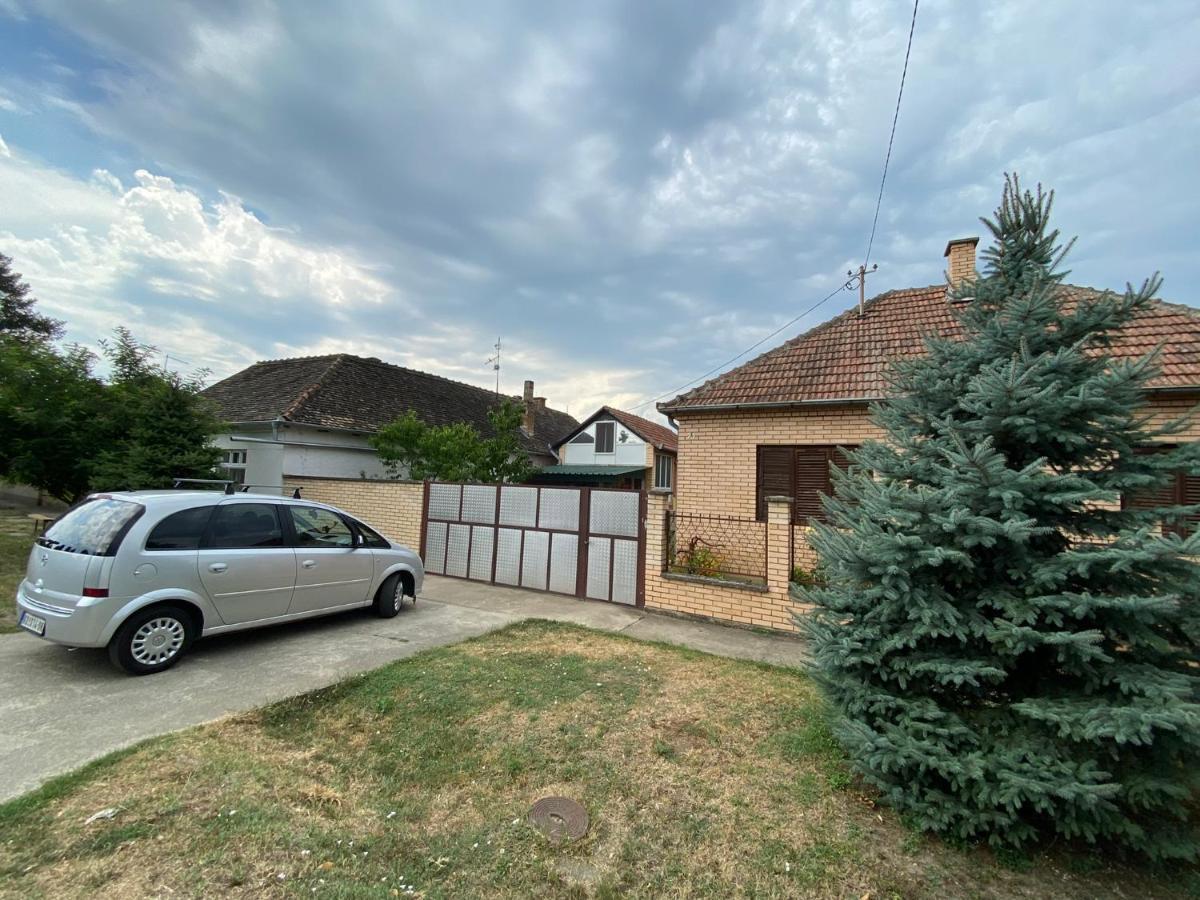 Sud ,,Antal I Olga,, Bed & Breakfast Skorenovac Dış mekan fotoğraf