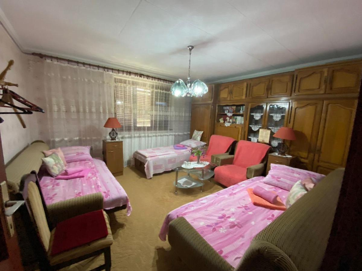 Sud ,,Antal I Olga,, Bed & Breakfast Skorenovac Oda fotoğraf