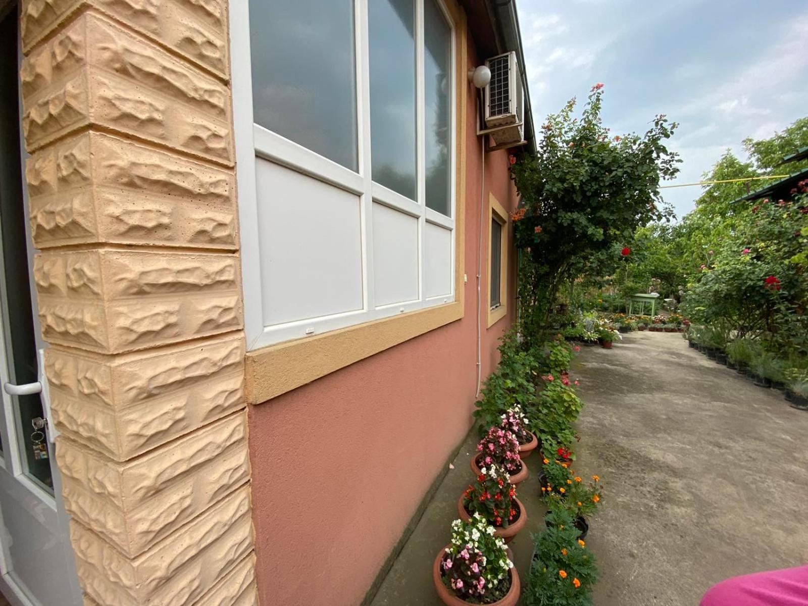Sud ,,Antal I Olga,, Bed & Breakfast Skorenovac Oda fotoğraf